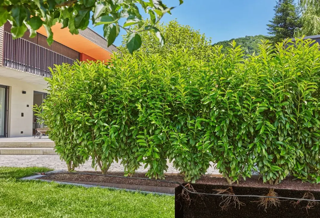 Gardena Micro-Drip-System - Micro-Drip-System Struikbevloeiingsset, Lengte 25 M 13500-20 4 Gardena Micro-Drip-System - Micro-Drip-System Struikbevloeiingsset, Lengte 25 M 13500-20 - Afbeelding 4