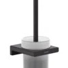 Hansgrohe AddStoris - WC Borstel Wandmontage, Mat Glas/zwart Mat 41752670