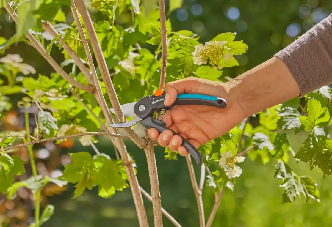 Gardena - PremiumCut Takkenschaar 12241-20 3 Gardena - PremiumCut Takkenschaar 12241-20 - Afbeelding 3