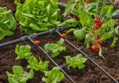 Gardena Micro-Drip-System - Seriedruppelaar, 2 L/u, 10 Stuks 13312-20 -Sanitino Winkel 2aa8bcaae9c73a4d9d2feef2