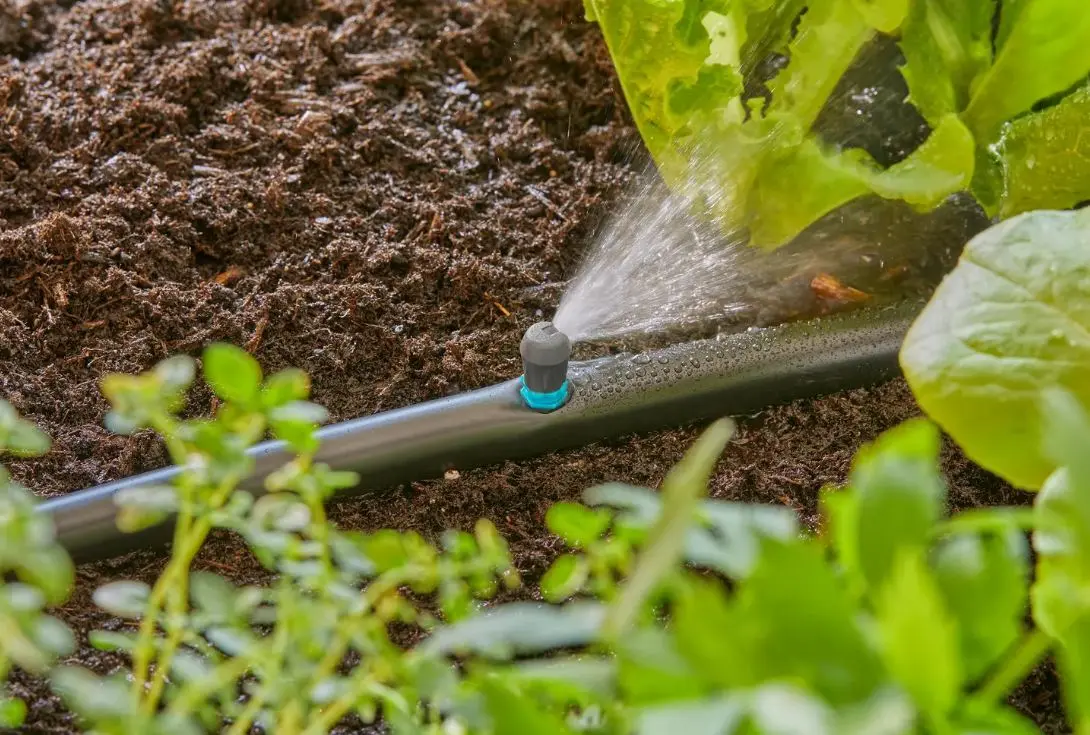 Gardena Micro-Drip-System - Micro Strook Sprinkler Uiteinde, 5 Stuks 13318-20 3 Gardena Micro-Drip-System - Micro Strook Sprinkler Uiteinde, 5 Stuks 13318-20 - Afbeelding 3