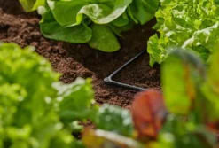 Gardena Micro-Drip-System - L-vormige Connector, 4,6 Mm, 10 Stuks 13212-20 -Sanitino Winkel 312e5b7bcbb9cd9d253b6cb2