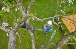 Gardena - 18V ACCU-telescopische Takkenschaar HighCut 360/18V P4A, 1x 2.0 Ah Accu, Lader 14776-20 -Sanitino Winkel 403a3a19db58017c987bbb88