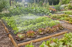 Gardena Micro-Drip-System - Micro-Drip-System Bedbevloeiingsset, Tot 60 M2 13450-20 -Sanitino Winkel 4de7fccecc65d6ea405f2c95