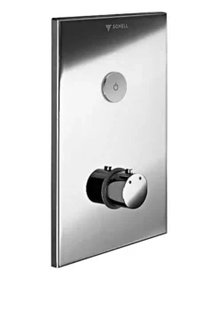 Schell Linus - DCT Inbouw Elektronische Douchekraan, Roestvrij Staal 019182899