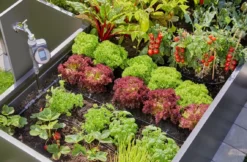 Gardena Micro-Drip-System - Micro-Drip-System Hoogbed-bevloeiingsset, Voor 35 Planten 13455-20 -Sanitino Winkel 514797a3ba75fa92c2d82841