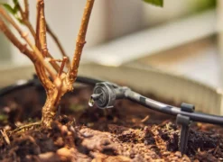 Gardena Micro-Drip-System - Seriedruppelaar, 2 L/u, 10 Stuks 13312-20 -Sanitino Winkel 635f66b6fe32f11714b600c3