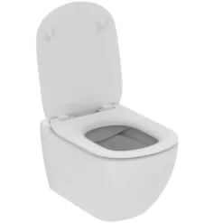 Geberit Duofix - Voorwand Montageset, Tesi Toilet En Softclose Zitting, Sigma30 Bedieningsplaat, Glanzend Chroom/mat Chroom SANI11CD1113 -Sanitino Winkel 70b0893b58be0ff8b3199c1b 2
