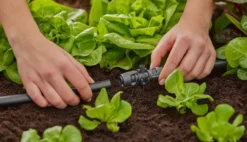 Gardena Micro-Drip-System - T-stuk Connector 13 Mm, 5 Stuks 13206-20 -Sanitino Winkel 7516ab129e3911cb568f4ed2