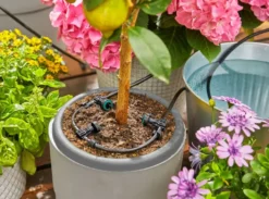 Gardena - AquaBloom Irrigatieset Op Zonne-energie 13300-20 -Sanitino Winkel 7e8abba742b3056366633103