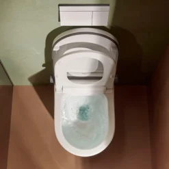 Hansgrohe LavaPura Element S - Elektronisch Bidet Met Keramiek, SoftClose, AquaHelix Flush, HygieneEffect, SmartClean, Wit 63021450 -Sanitino Winkel 80ef578864a93e63564c9d70