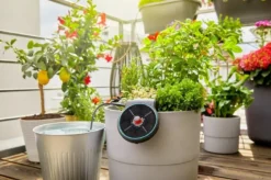 Gardena - AquaBloom Irrigatieset Op Zonne-energie 13300-20 -Sanitino Winkel 8691bc2c6abf30b579a21f01