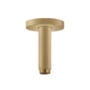 Hansgrohe Toebehoren - Plafondbevestiging S 10 Cm, Geborsteld Brons 27393140