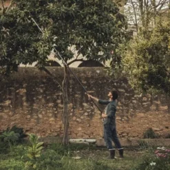 FISKARS Tuingereedschap - Takkenschaar, Telescopisch 1023624 -Sanitino Winkel 9660b7168b6e1f5d0ae71ce7