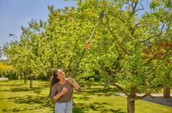 Gardena - StarCut Pro Takkenschaar, Maat S, Telescopisch 12080-20 -Sanitino Winkel aa84614f064e18d8cb48cab9