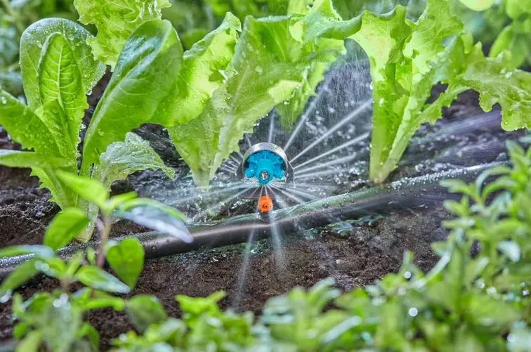 Gardena Micro-Drip-System - 6-in-1 Sproeier, 2 Stuks 13324-20 5 Gardena Micro-Drip-System - 6-in-1 Sproeier, 2 Stuks 13324-20 - Afbeelding 5