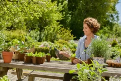 Gardena - Sproeier, Inhoud 450 Ml 11102-20 -Sanitino Winkel c0a82e856702f2d1208b390f