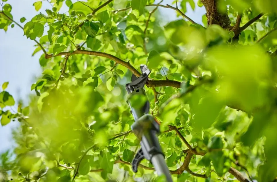 Gardena - 18V ACCU-telescopische Takkenschaar HighCut 250/18V P4A, 1x 2,0 Ah Accu, Lader 14774-20 5 Gardena - 18V ACCU-telescopische Takkenschaar HighCut 250/18V P4A, 1x 2,0 Ah Accu, Lader 14774-20 - Afbeelding 5