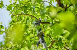 Gardena - 18V ACCU-telescopische Takkenschaar HighCut 250/18V P4A, Zonder Accu En Lader 14774-55 -Sanitino Winkel c1f05f78cd67412db4c8f68b