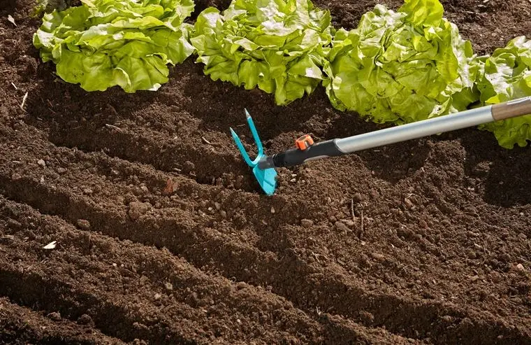 Gardena Combisystem - Combisystem Dubbelzijdige Schoffel, Zonder Steel 3215-20 2 Gardena Combisystem - Combisystem Dubbelzijdige Schoffel, Zonder Steel 3215-20 - Afbeelding 2