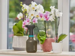 Gardena - Sproeier, Inhoud 750 Ml 11110-20 -Sanitino Winkel fdf4b3bf4d3aa4624a0e845c