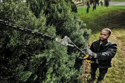 DeWALT Tuinapparatuur - Opzetstuk Voor Motorunit, Heggenschaar 55 Cm DCMASPH6N 6 DeWALT Tuinapparatuur - Opzetstuk Voor Motorunit, Heggenschaar 55 Cm DCMASPH6N -Sanitino Winkel fe50de067be6276465f451fa