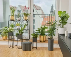 Gardena Micro-Drip-System - Micro-Drip-System Irrigatieset, Voor 36 Planten 13366-20 -Sanitino Winkel ff0c6a2eeb553dc0a1398bf1