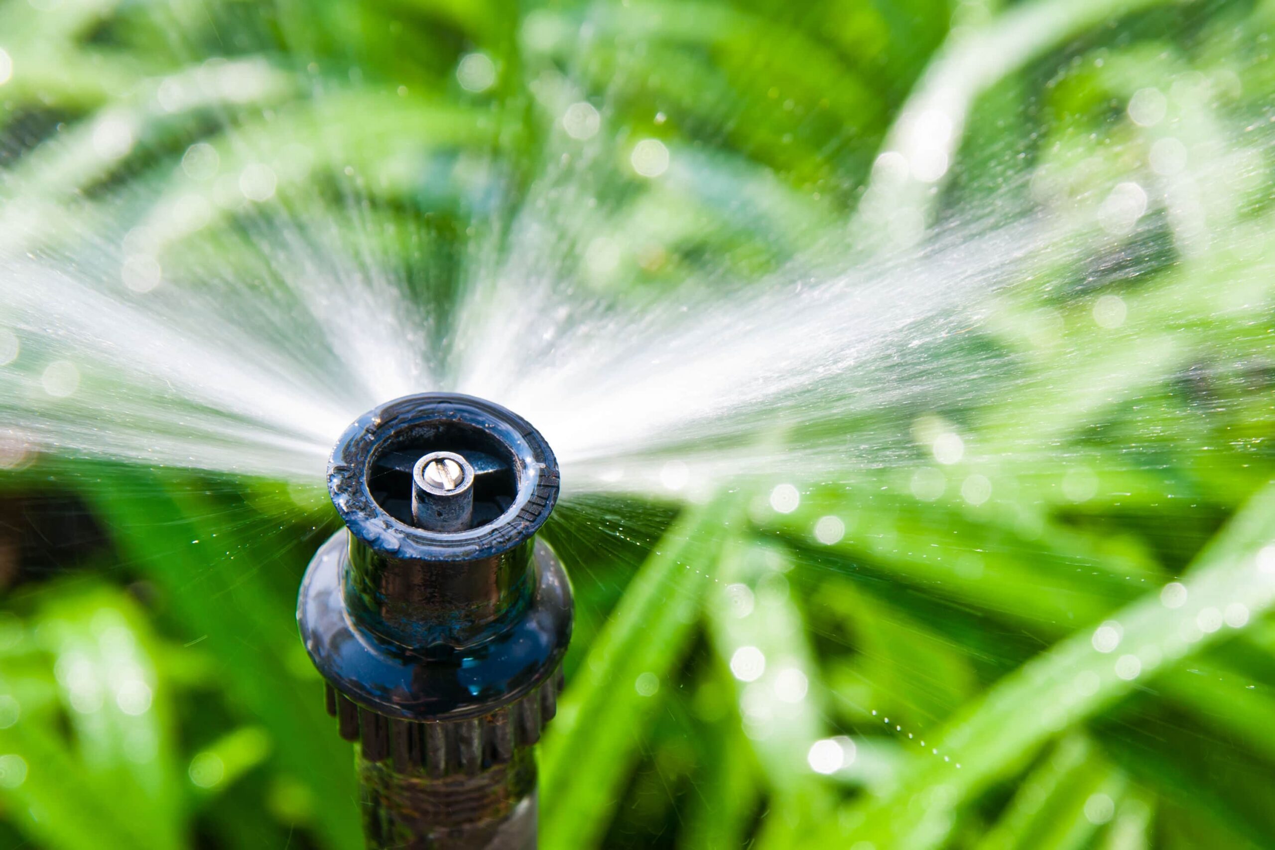 Sanitino Winkel -Sanitino Winkel tuinbewatering scaled